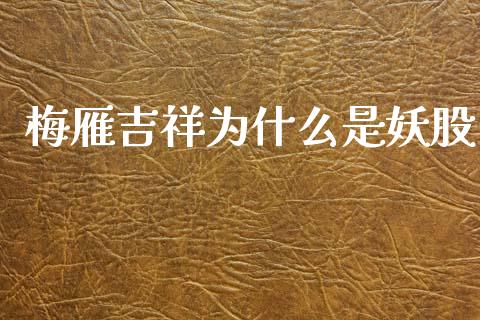 梅雁吉祥为什么是妖股_https://m.jnbaishite.cn_投资管理_第1张