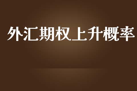 外汇期权上升概率_https://m.jnbaishite.cn_投资管理_第1张