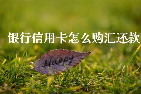 银行信用卡怎么购汇还款_https://m.jnbaishite.cn_期货研报_第1张