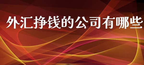 外汇挣钱的公司有哪些_https://m.jnbaishite.cn_金融市场_第1张