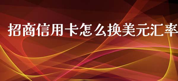 招商信用卡怎么换美元汇率_https://m.jnbaishite.cn_投资管理_第1张