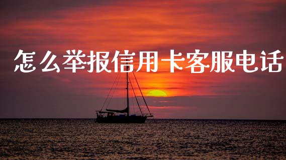 怎么举报信用卡客服电话_https://m.jnbaishite.cn_投资管理_第1张