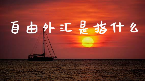 自由外汇是指什么_https://m.jnbaishite.cn_投资管理_第1张