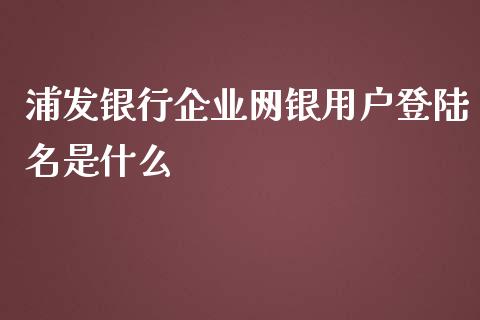 浦发银行企业网银用户登陆名是什么_https://m.jnbaishite.cn_投资管理_第1张