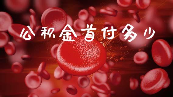 公积金首付多少_https://m.jnbaishite.cn_金融市场_第1张