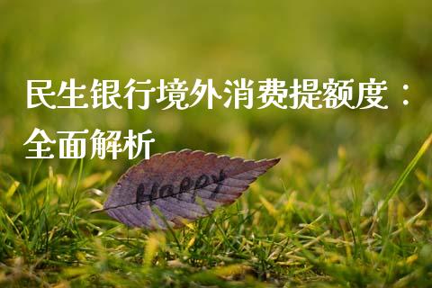 民生银行境外消费提额度：全面解析_https://m.jnbaishite.cn_金融市场_第1张