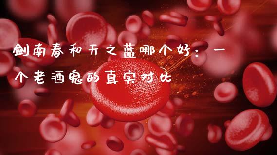 剑南春和天之蓝哪个好：一个老酒鬼的真实对比_https://m.jnbaishite.cn_投资管理_第1张
