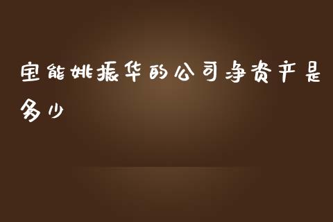 宝能姚振华的公司净资产是多少_https://m.jnbaishite.cn_财经新闻_第1张