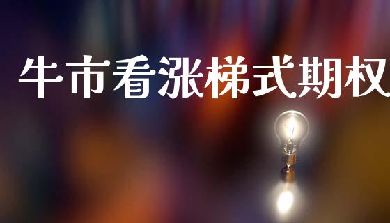 牛市看涨梯式期权_https://m.jnbaishite.cn_金融市场_第1张