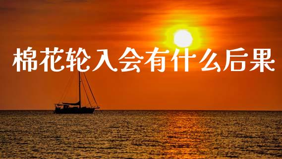 棉花轮入会有什么后果_https://m.jnbaishite.cn_期货研报_第1张