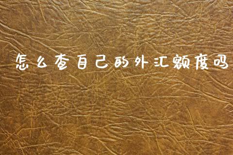 怎么查自己的外汇额度吗_https://m.jnbaishite.cn_财经新闻_第1张