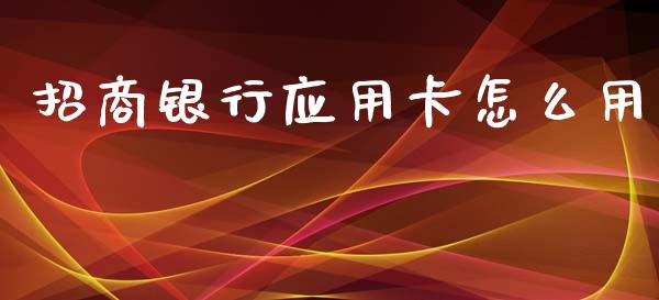 招商银行应用卡怎么用_https://m.jnbaishite.cn_投资管理_第1张