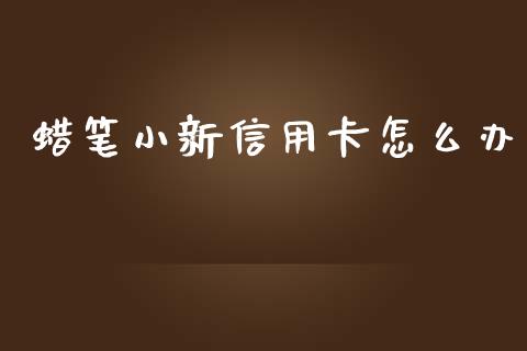 蜡笔小新信用卡怎么办_https://m.jnbaishite.cn_投资管理_第1张