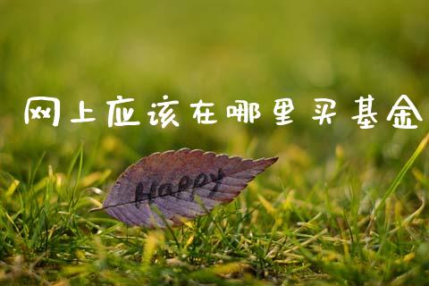 网上应该在哪里买基金_https://m.jnbaishite.cn_投资管理_第1张