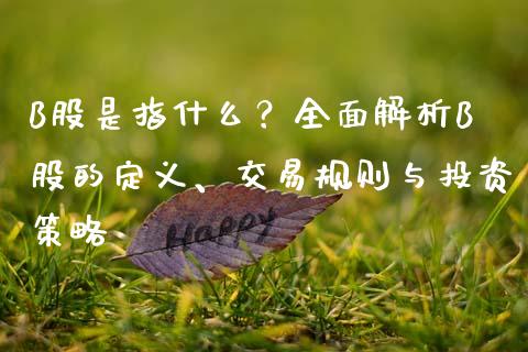 B股是指什么？全面解析B股的定义、交易规则与投资策略_https://m.jnbaishite.cn_期货研报_第1张