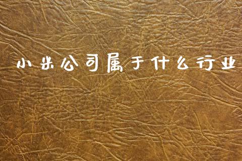 小米公司属于什么行业_https://m.jnbaishite.cn_金融市场_第1张