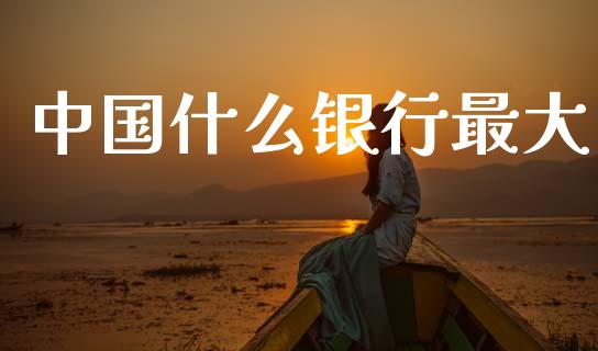 中国什么银行最大_https://m.jnbaishite.cn_投资管理_第1张