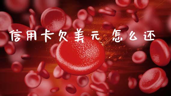 信用卡欠美元 怎么还_https://m.jnbaishite.cn_财经新闻_第1张