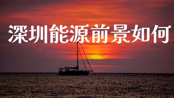 深圳能源前景如何_https://m.jnbaishite.cn_金融市场_第1张