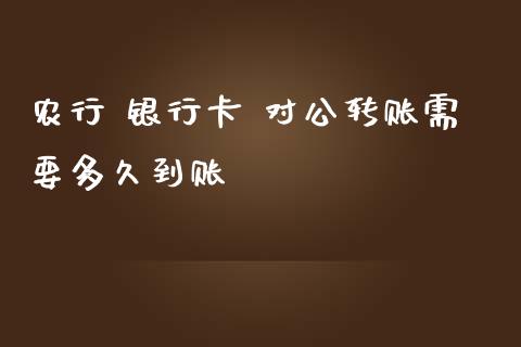 农行 银行卡 对公转账需要多久到账_https://m.jnbaishite.cn_金融市场_第1张