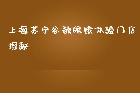 上海苏宁谷歌眼镜体验门店探秘_https://m.jnbaishite.cn_财经新闻_第1张