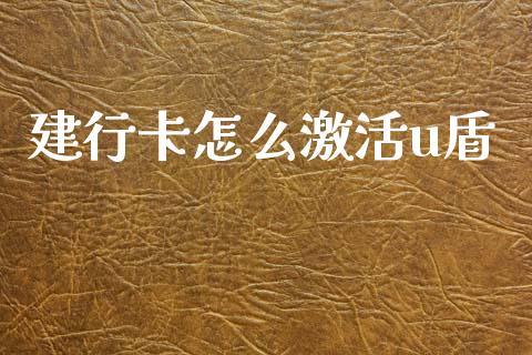 建行卡怎么激活u盾_https://m.jnbaishite.cn_期货研报_第1张