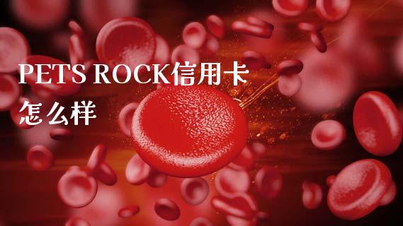 PETS ROCK信用卡怎么样_https://m.jnbaishite.cn_期货研报_第1张