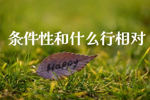 条件性和什么行相对_https://m.jnbaishite.cn_财经新闻_第1张