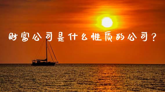 财富公司是什么性质的公司？_https://m.jnbaishite.cn_投资管理_第1张