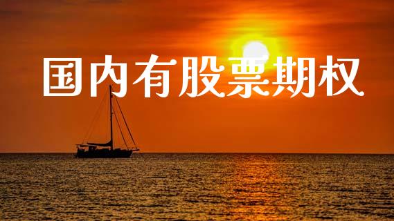 国内有股票期权_https://m.jnbaishite.cn_投资管理_第1张