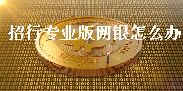 招行专业版网银怎么办_https://m.jnbaishite.cn_金融市场_第1张