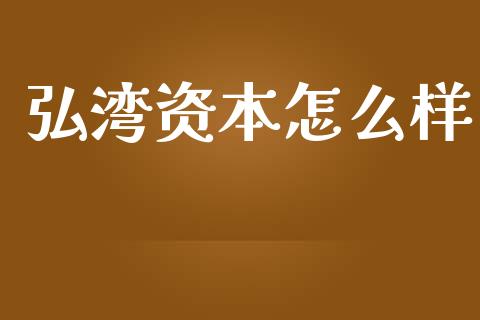 弘湾资本怎么样_https://m.jnbaishite.cn_投资管理_第1张