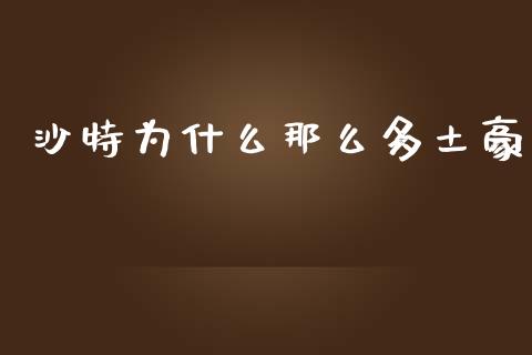 沙特为什么那么多土豪_https://m.jnbaishite.cn_投资管理_第1张