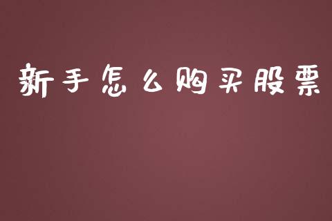 新手怎么购买股票_https://m.jnbaishite.cn_财经新闻_第1张