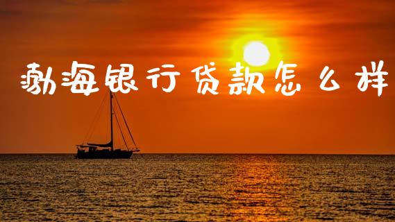 渤海银行贷款怎么样_https://m.jnbaishite.cn_期货研报_第1张