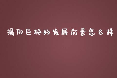 揭阳巨轮的发展前景怎么样_https://m.jnbaishite.cn_期货研报_第1张