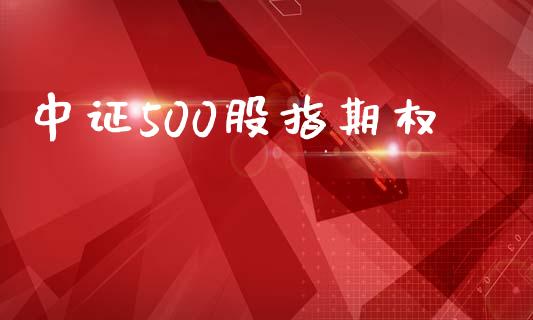中证500股指期权_https://m.jnbaishite.cn_投资管理_第1张