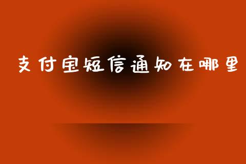 支付宝短信通知在哪里_https://m.jnbaishite.cn_投资管理_第1张