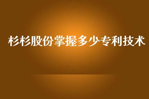 杉杉股份掌握多少专利技术_https://m.jnbaishite.cn_期货研报_第1张