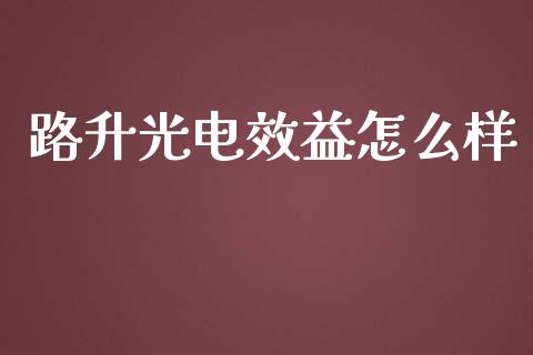 路升光电效益怎么样_https://m.jnbaishite.cn_投资管理_第1张