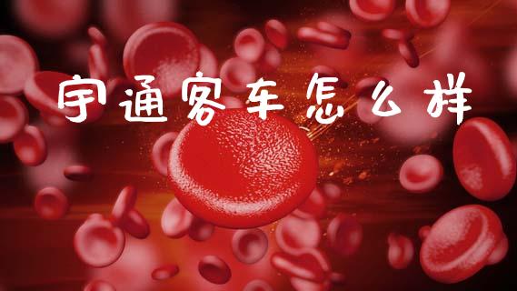 宇通客车怎么样_https://m.jnbaishite.cn_投资管理_第1张