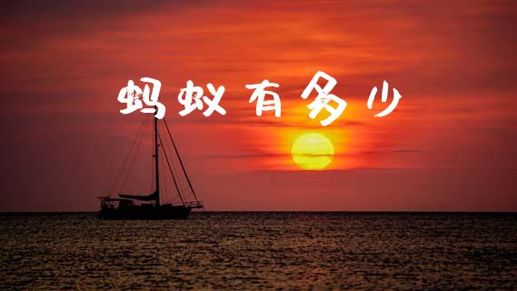 蚂蚁有多少_https://m.jnbaishite.cn_投资管理_第1张