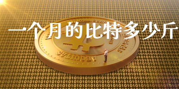 一个月的比特多少斤_https://m.jnbaishite.cn_投资管理_第1张