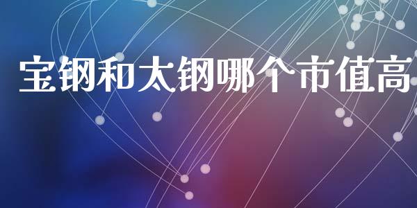 宝钢和太钢哪个市值高_https://m.jnbaishite.cn_财经新闻_第1张