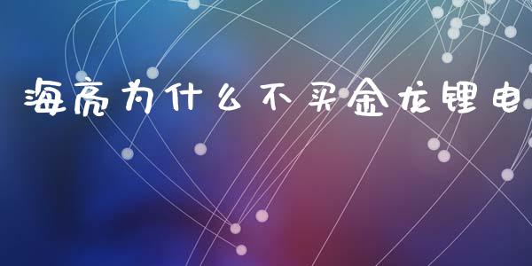 海亮为什么不买金龙锂电_https://m.jnbaishite.cn_金融市场_第1张