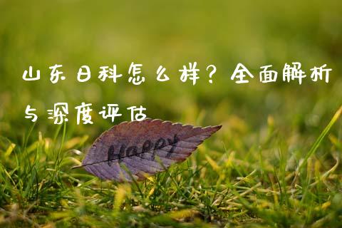 山东日科怎么样？全面解析与深度评估_https://m.jnbaishite.cn_投资管理_第1张