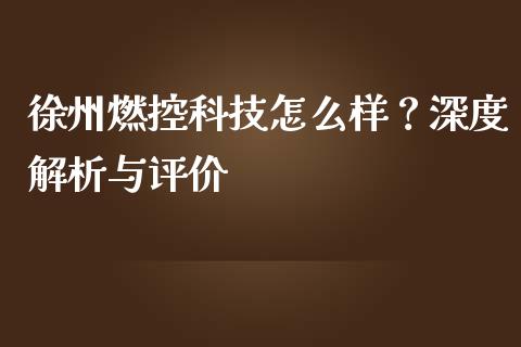 徐州燃控科技怎么样？深度解析与评价_https://m.jnbaishite.cn_投资管理_第1张