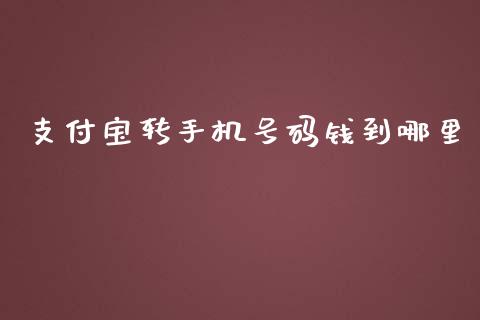 支付宝转手机号码钱到哪里_https://m.jnbaishite.cn_财经新闻_第1张