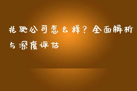 兆驰公司怎么样？全面解析与深度评估_https://m.jnbaishite.cn_期货研报_第1张