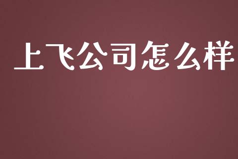 上飞公司怎么样_https://m.jnbaishite.cn_财经新闻_第1张